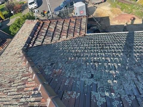 Delahey - Roof Restoration