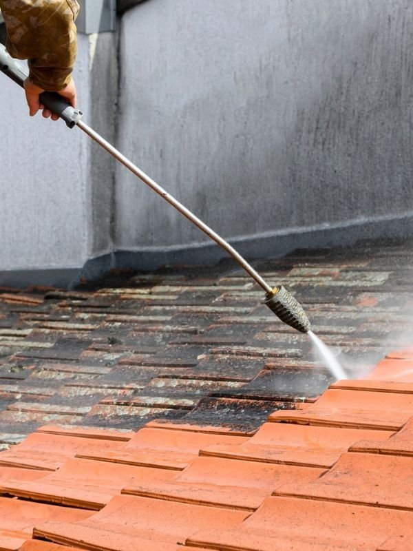 Roof Cleaning Services